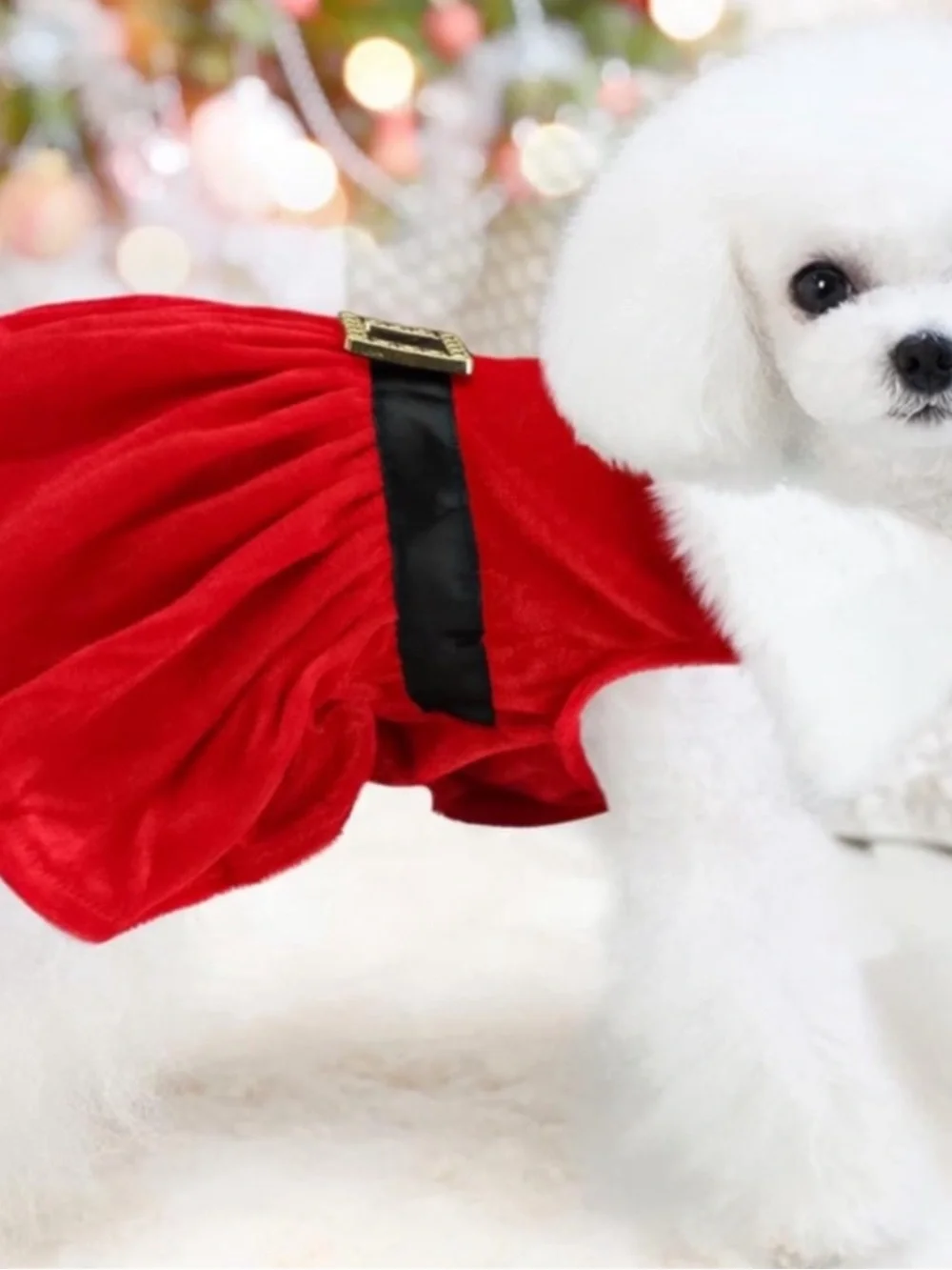 NWT Jessica Simpson Red Velvet Pet Dress